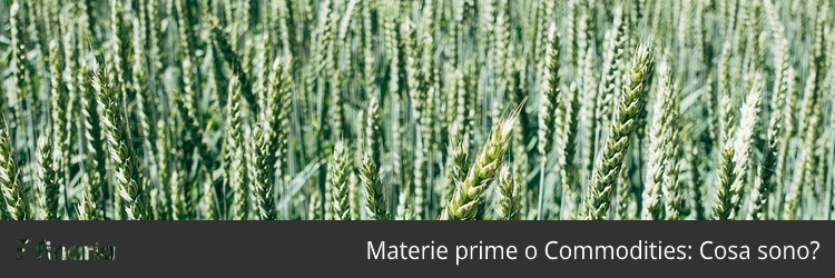 materie prime cosa sono