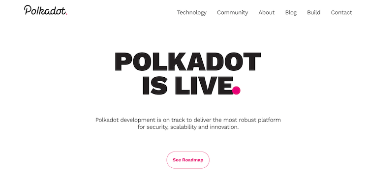 polkadot network