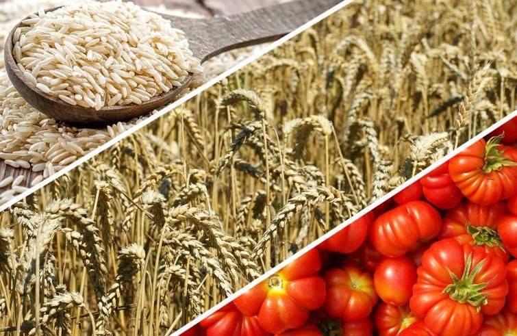 Investire agroalimentare Borsa