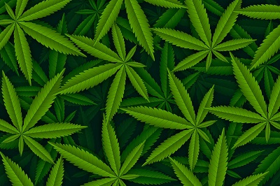 cannabis azioni