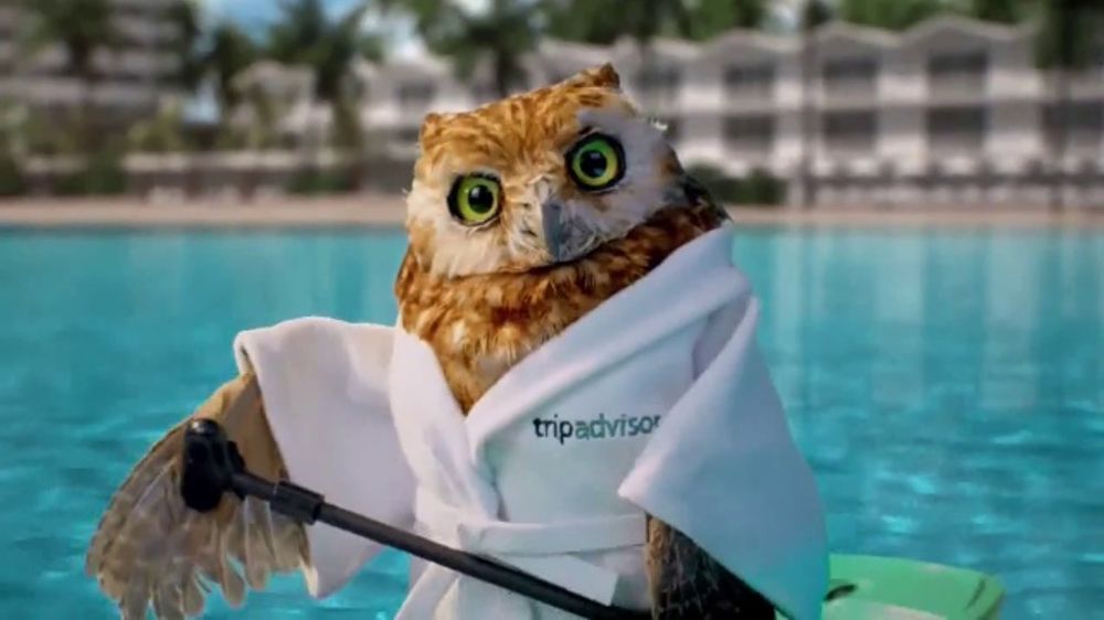 Tripadvisor promo