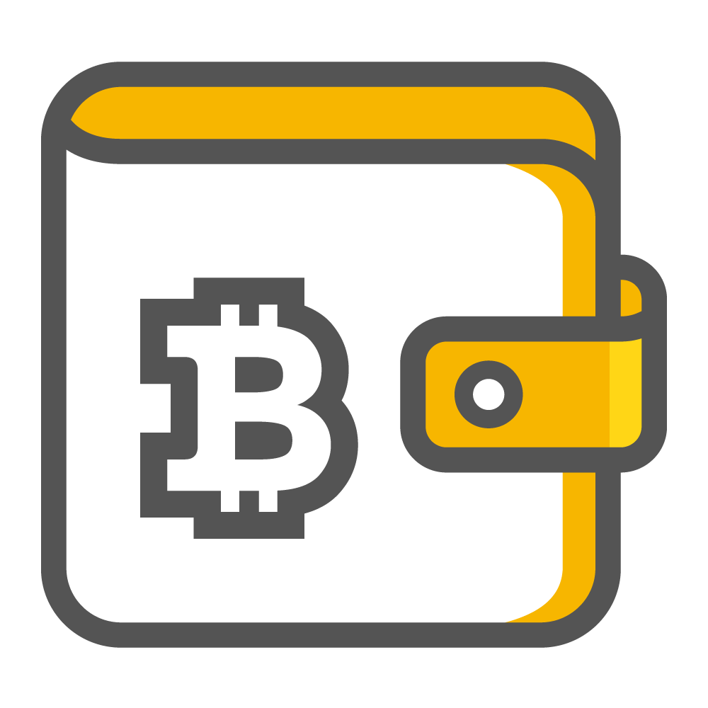 Portafoglio Bitcoin