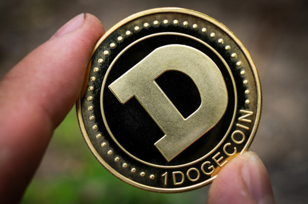 Trading criptovalute - doge