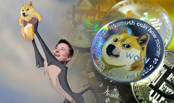previsioni dogecoin musk