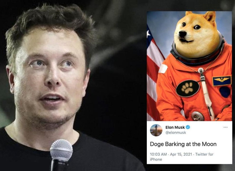 previsioni dogecoin musk