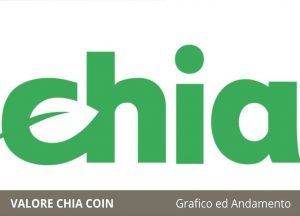 Valore Chia Coin