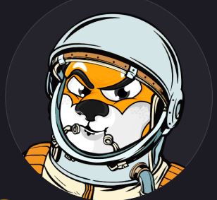 Shiba Inu
