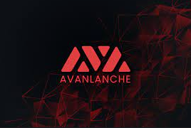 Previsioni Avalanche