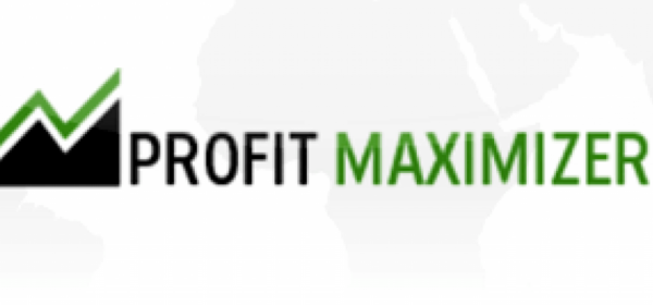 Profit Maximizer logo