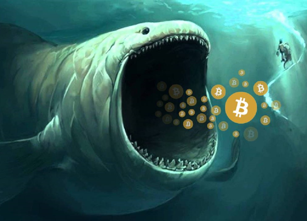 Previsioni Bitcoin - le balene accumulano