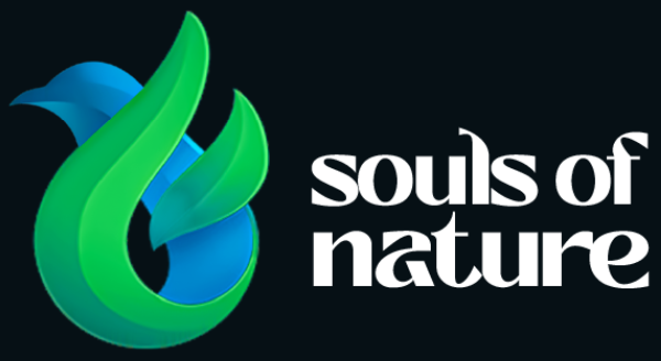 Giochi blockchain - souls of nature