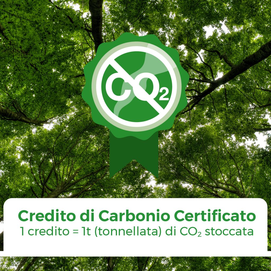 Comprare IMPT crediti carbonio