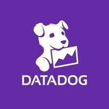 Investire in blockchain - datadog