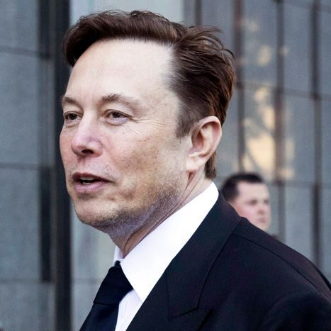 Elon Musk è considerato un crypto influencer