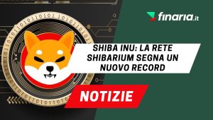 Shiba Inu notizie