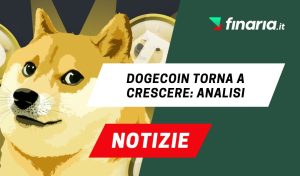 Doge news