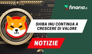 Shiba inu news