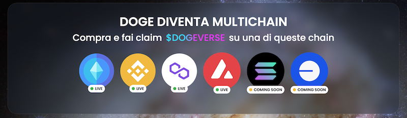 DOGEVERSE MULTICHAIN