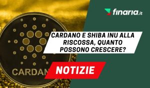 Cardano news
