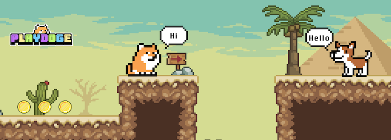PlayDoge gioco crypto