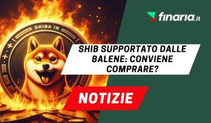 notizie su meme coin