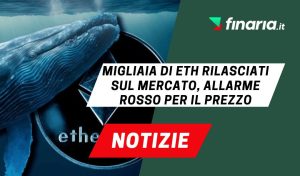 Notizie