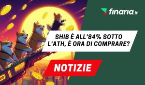 shiba news