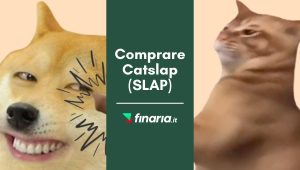comprare catslap