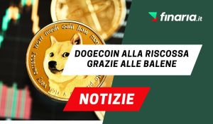 news di finaria