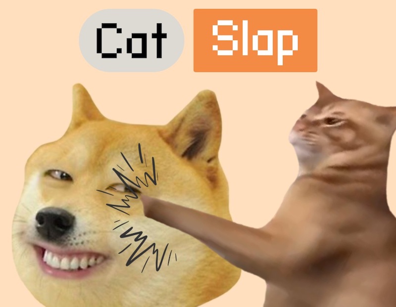 catslap 1