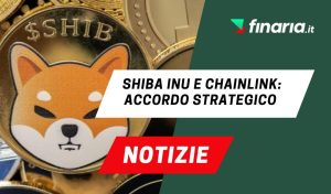 shiba news