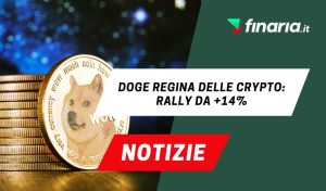 doge news